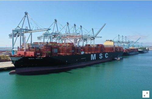 美國9月商品貿易逆差大幅縮窄，第三季創紀錄增長預期提振貿易前景